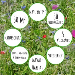 Bienenweide Mit Wildgräsern (Naturwiese) | Bienenwiese Von Biobalu -Garten Traum Haus 550629 Bienenweide mit Wildgraesern Naturwiese BB1016 3