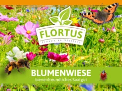 Blumenwiese (1/2 L Doypack) | Blumenwiese Von FLORTUS -Garten Traum Haus 551641 Blumenwiese 1 2 Liter Doypack 2000 0186 1