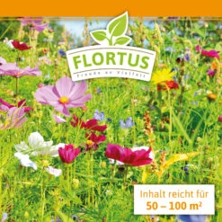 Blumenwiese (1/2 L Doypack) | Blumenwiese Von FLORTUS -Garten Traum Haus 551641 Blumenwiese 1 2 Liter Doypack 2000 0186 3