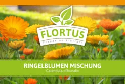 Ringelblumen Mischung | Blumenwiese Von FLORTUS -Garten Traum Haus 554533 Ringelblumen Mischung 1 kg 530747 Ringelblumen Mischung 1 kg 2000 0209 2
