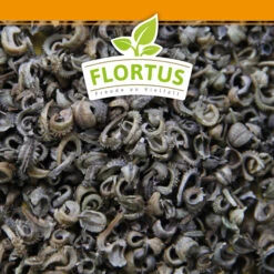 Ringelblumen Mischung | Blumenwiese Von FLORTUS -Garten Traum Haus 554533 Ringelblumen Mischung 1 kg 530747 Ringelblumen Mischung 1 kg 2000 0209 6