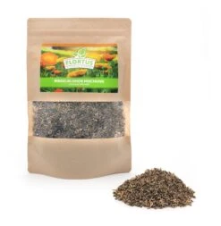 Ringelblumen Mischung | Blumenwiese Von FLORTUS -Garten Traum Haus 554533 Ringelblumen Mischung 2000 0727 0