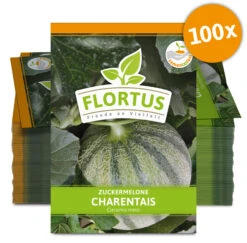 Zuckermelone Charentaise (100 Tütchen) | Zuckermelonensamen Von FLORTUS -Garten Traum Haus 555107 Zuckermelone Charentais 100 Tuetchen 2000 0774 100x 0
