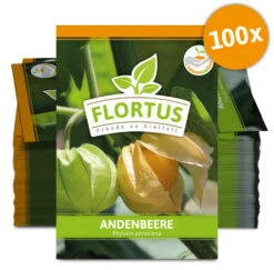 Andenbeere (100 Tütchen) | Andenbeerensamen Von FLORTUS 5 Andenbeere (100 Tütchen) | Andenbeerensamen Von FLORTUS -Garten Traum Haus 555111 Andenbeere 100 Tuetchen 2000 0778 100x 0