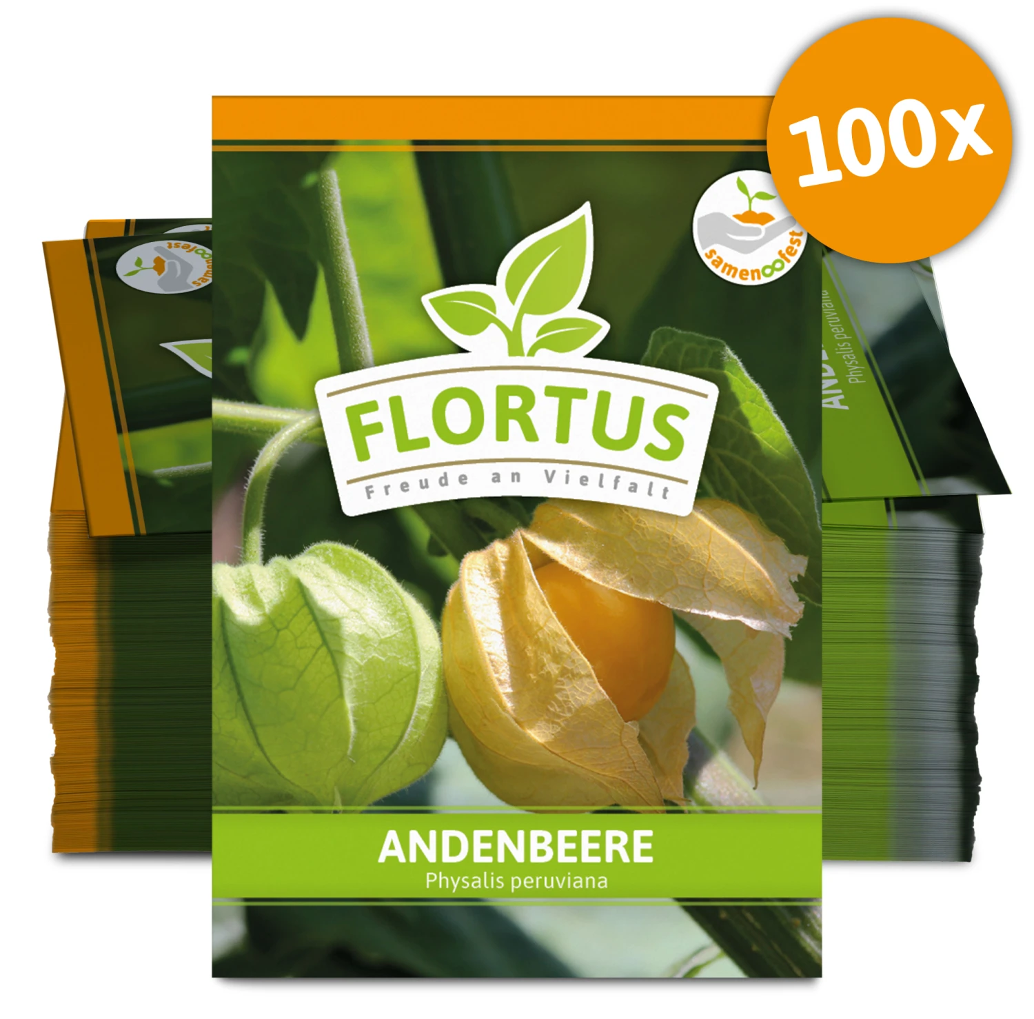 Andenbeere (100 Tütchen) | Andenbeerensamen Von FLORTUS 3 Andenbeere (100 Tütchen) | Andenbeerensamen Von FLORTUS – Bild 3