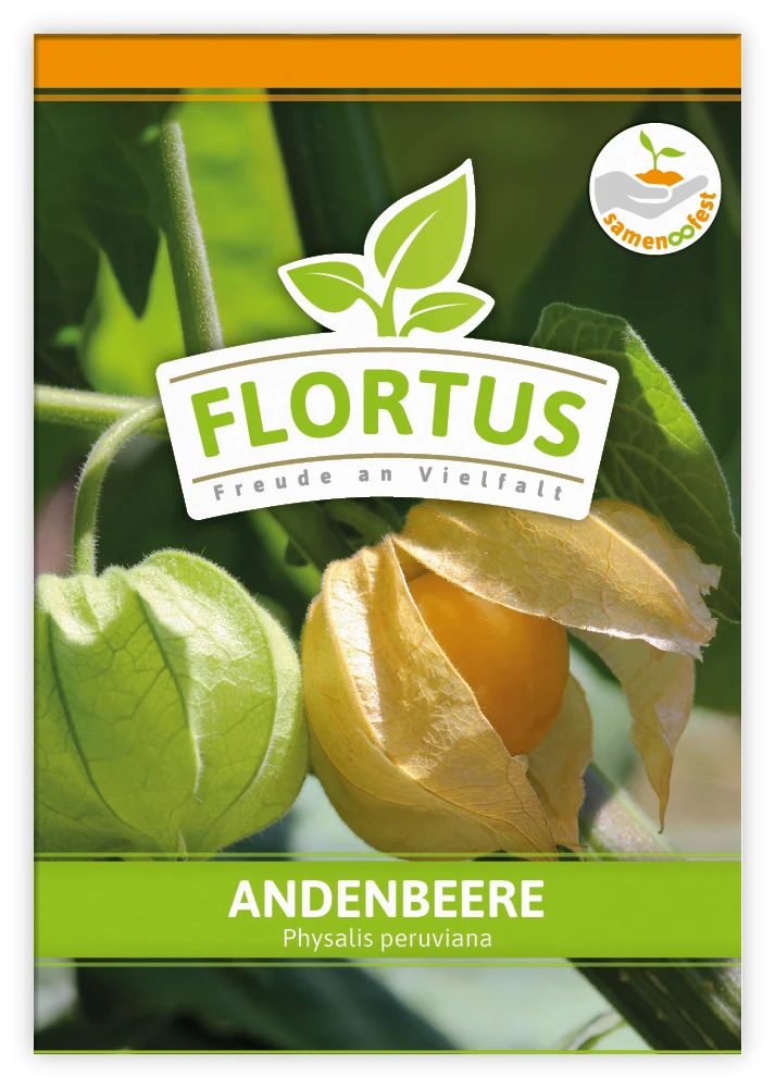 Andenbeere (100 Tütchen) | Andenbeerensamen Von FLORTUS 1 Andenbeere (100 Tütchen) | Andenbeerensamen Von FLORTUS