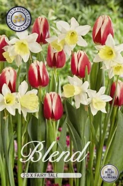 Tulpe/Narzisse Fairy Tale (20 Stück) | Blumenzwiebelmischungen Von Sam Van Schooten