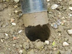 28 X 26 X 7,5 Cm Kurzstieliger Blumenzwiebel Pflanzer | Gartenzubehör Von Garland -Garten Traum Haus 558875 28 x 26 x 7 5 cm Kurzstieliger Blumenzwiebel Pflanzer W0474 gl 6