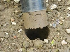 88 X 30,5 X 7,5 Cm Langstieliger Blumenzwiebel Pflanzer | Gartenzubehör Von Garland -Garten Traum Haus 558876 88 x 30 5 x 7 5 cm Langstieliger Blumenzwiebel Pflanzer W0475 gl 8