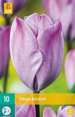 Tulpe Jacuzzi (10 Stück) | Tulpenzwiebeln Von Jub Holland