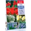 Bulbs From Holland (125 Stück) | Blumenzwiebelmischungen Von Jub Holland