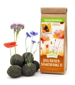 Samenbomben Das Bienenstaatsbankett (6 Stück) | Bienenwiese Von FLORTUS -Garten Traum Haus 562161 Samenbomben Das Bienenstaatsbankett 6 Stueck 2000 2356 1