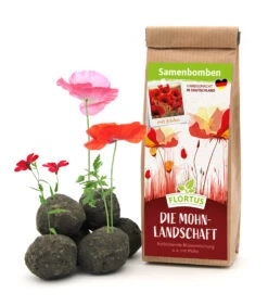 Samenbomben Die Mohnlandschaft (6 Stück) | Mohnsamen Von FLORTUS -Garten Traum Haus 562163 Samenbomben Die Mohnlandschaft 6 Stueck 2000 1054 1