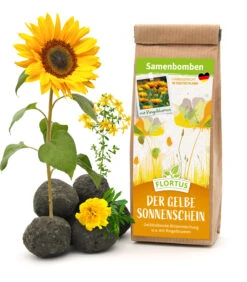 Samenbomben Der Gelbe Sonnenschein (6 Stück) | Blumensamenmischung Von FLORTUS -Garten Traum Haus 562164 Samenbomben Der Gelbe Sonnenschein 6 Stueck 2000 1055 1