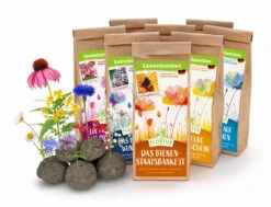 Samenbomben Set (8 Päckchen) | Blumensamenmischung Von FLORTUS 13 Samenbomben Set (8 Päckchen) | Blumensamenmischung Von FLORTUS -Garten Traum Haus 562498 Samenbomben Set 8 Paeckchen 2000 2367 1