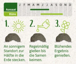 Samenbomben Set (8 Päckchen) | Blumensamenmischung Von FLORTUS 15 Samenbomben Set (8 Päckchen) | Blumensamenmischung Von FLORTUS -Garten Traum Haus 562498 Samenbomben Set 8 Paeckchen 2000 2367 4