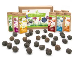 Samenbomben Set (8 Päckchen) | Blumensamenmischung Von FLORTUS 10 Samenbomben Set (8 Päckchen) | Blumensamenmischung Von FLORTUS -Garten Traum Haus 562498 Samenbomben Set 8 Paeckchen 2000 2367 5