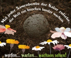 Samenbomben Set (8 Päckchen) | Blumensamenmischung Von FLORTUS 12 Samenbomben Set (8 Päckchen) | Blumensamenmischung Von FLORTUS -Garten Traum Haus 562498 Samenbomben Set 8 Paeckchen 2000 2367 7 1